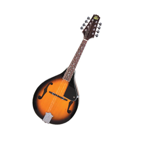 Kamal Indian Music Teacher Classical Music Teacher Bhajan Shabad